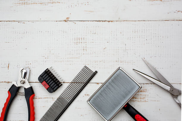 Grooming Tools for Whippet Jack Russell Mixes