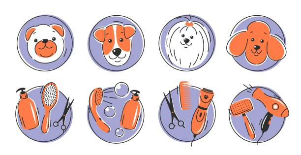 How to Groom a Jack Russell Terrier at Home